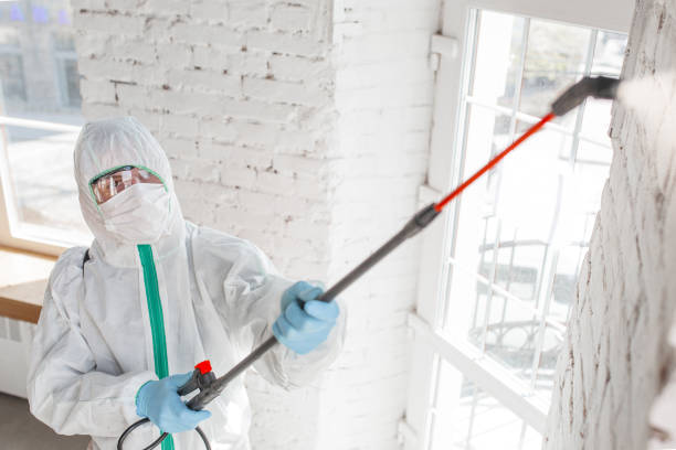 Mold Remediation for Rental Properties in Lake Mills, WI